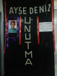 ayse2